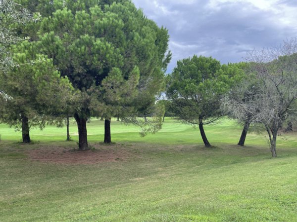 casa indipendente in vendita a Lignano Sabbiadoro