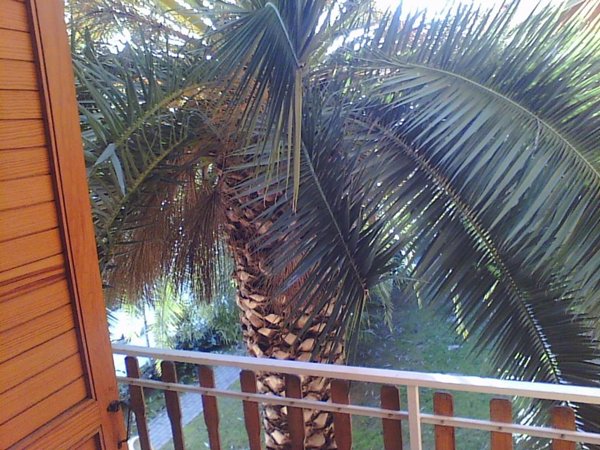 appartamento in vendita a Lignano Sabbiadoro