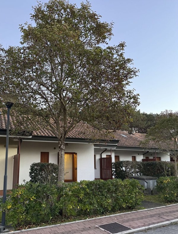 casa indipendente in vendita a Lignano Sabbiadoro in zona Pineta