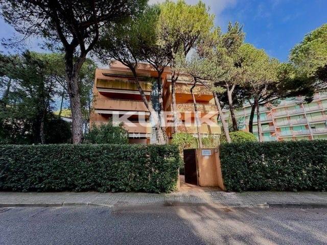 appartamento in vendita a Lignano Sabbiadoro in zona Pineta