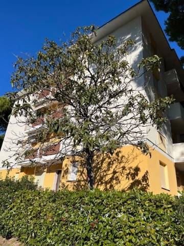 appartamento in vendita a Lignano Sabbiadoro in zona Pineta