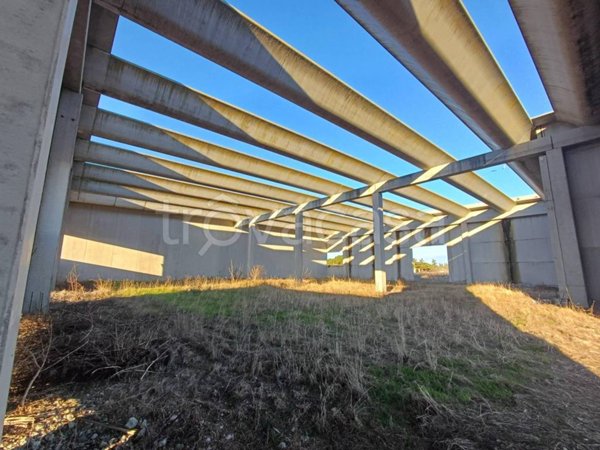 terreno agricolo in vendita a Lignano Sabbiadoro