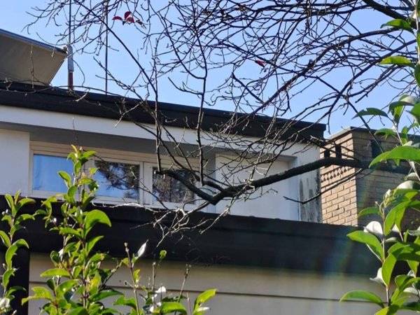 casa indipendente in vendita a Lignano Sabbiadoro