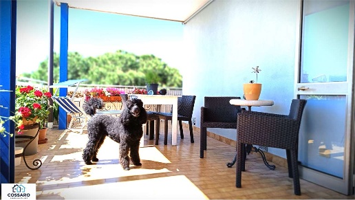 appartamento in vendita a Lignano Sabbiadoro