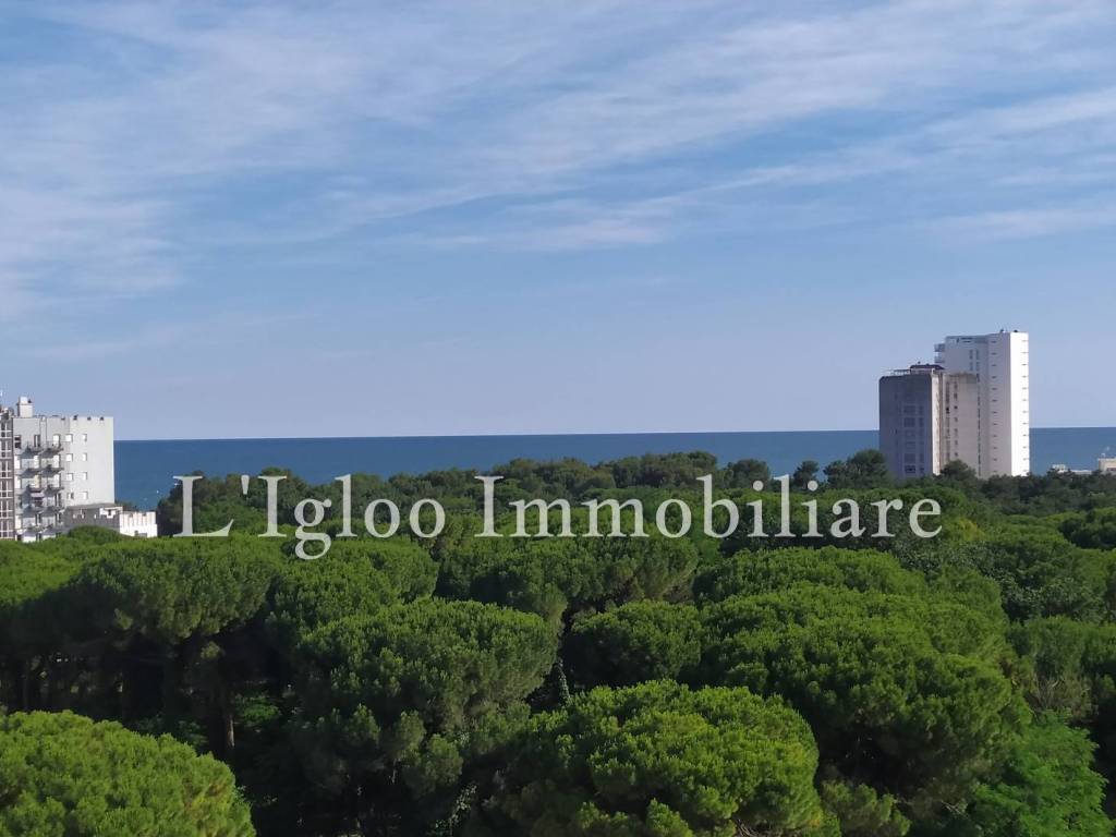 appartamento in vendita a Lignano Sabbiadoro