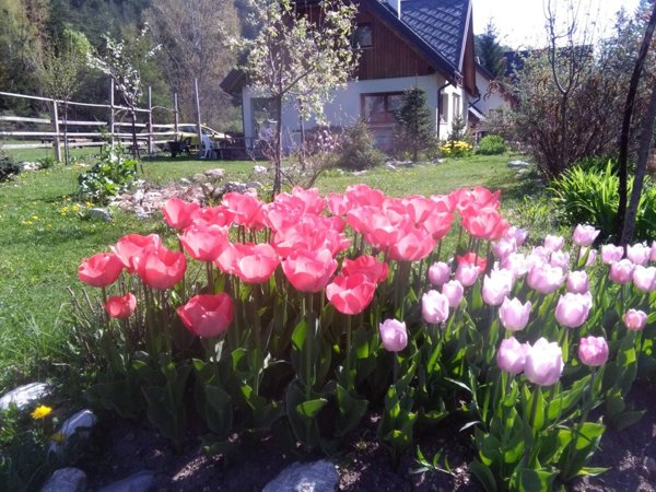 casa indipendente in vendita a Malborghetto Valbruna in zona Santa Caterina