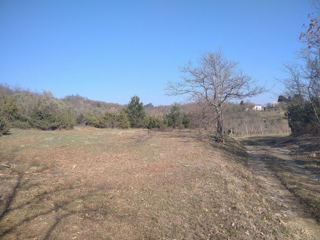 terreno agricolo in vendita a Manzano