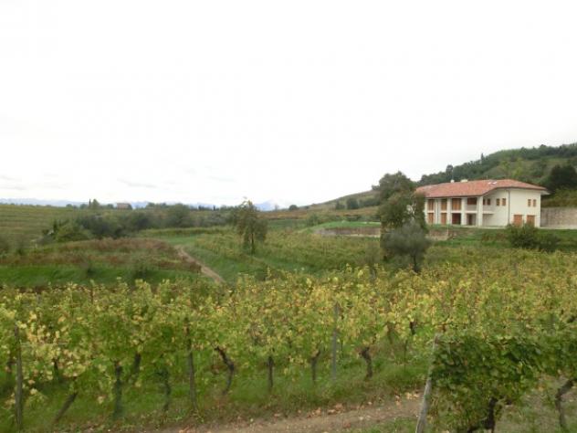 casa indipendente in vendita a Manzano in zona Rosazzo