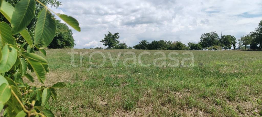 terreno agricolo in vendita a Manzano in zona Case