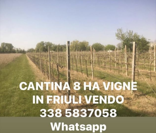 casa indipendente in vendita a Manzano in zona Case