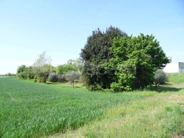 terreno edificabile in vendita a Manzano