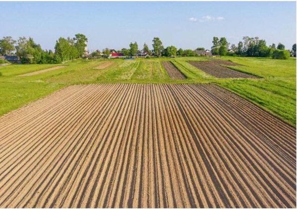 terreno agricolo in vendita a Mereto di Tomba