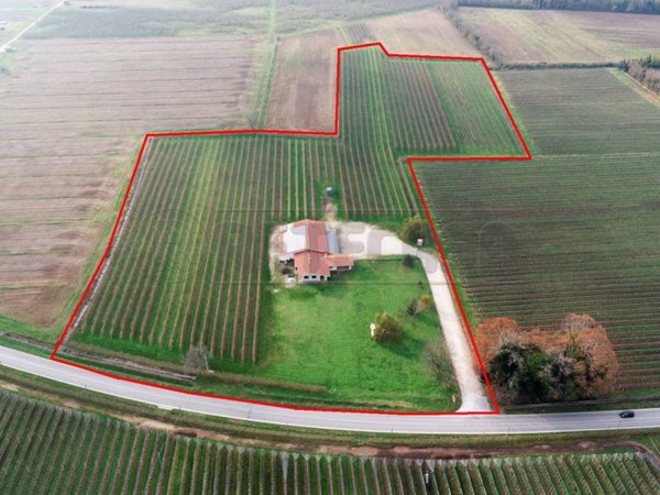negozio in vendita a Mortegliano in zona Chiasiellis