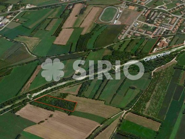 terreno agricolo in vendita a Mortegliano