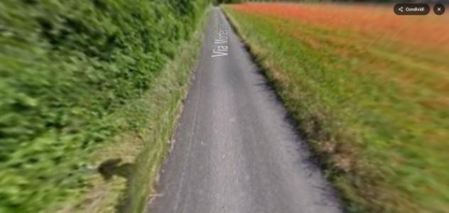 terreno agricolo in vendita a Mortegliano in zona Lavariano