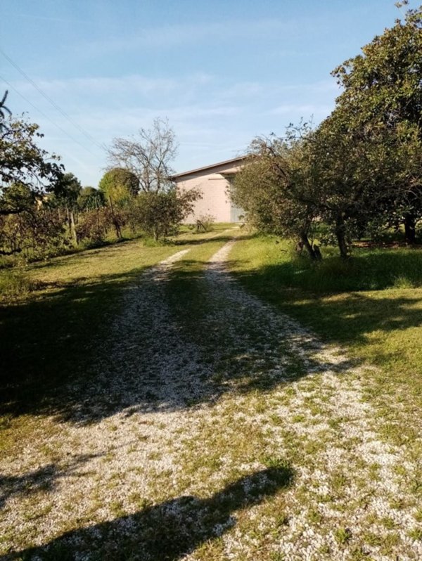 locale commerciale in vendita a Mortegliano