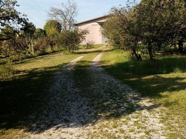 locale commerciale in vendita a Mortegliano