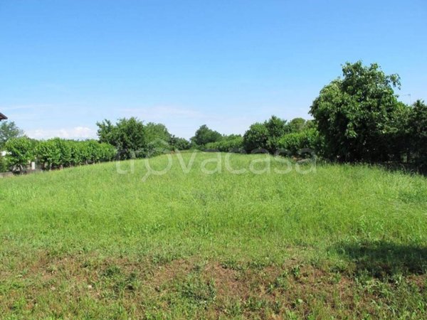 terreno agricolo in vendita a Mortegliano