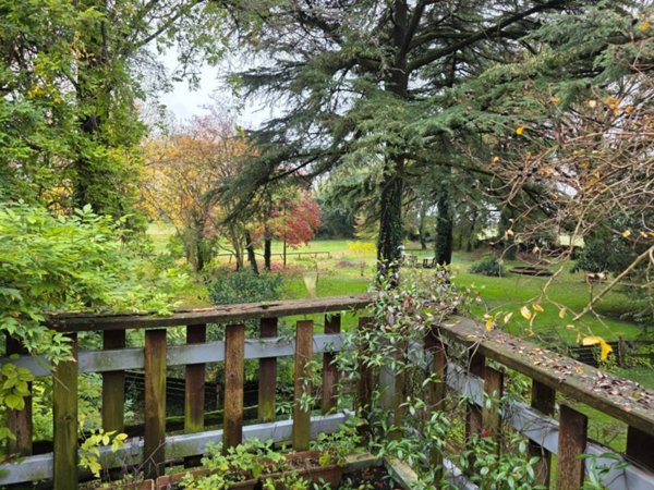 negozio in vendita a Mortegliano