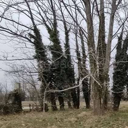 monolocale in vendita a Mortegliano in zona Lavariano