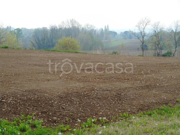 terreno edificabile in vendita a Moruzzo