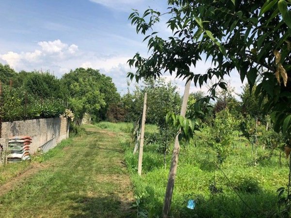 esavano in vendita a Moruzzo