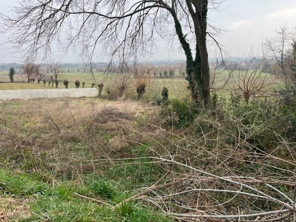 terreno edificabile in vendita a Moruzzo