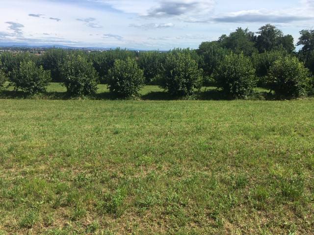 terreno agricolo in vendita a Moruzzo in zona Brazzacco