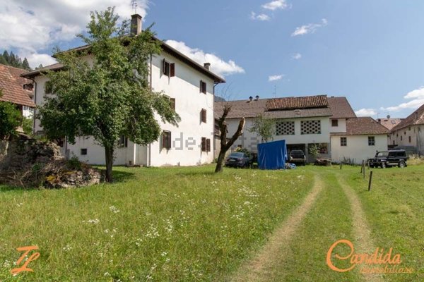 casa indipendente in vendita ad Ovaro in zona Liariis