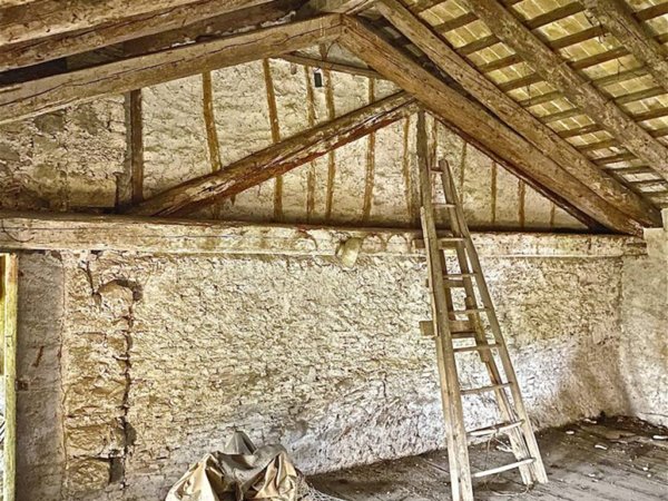 casa indipendente in vendita a Pagnacco in zona Plaino