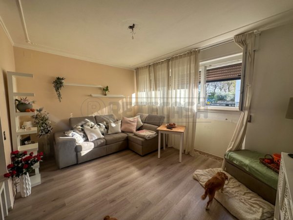 casa indipendente in vendita a Palmanova in zona Ialmicco