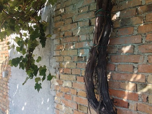 casa indipendente in vendita a Palmanova in zona Ialmicco