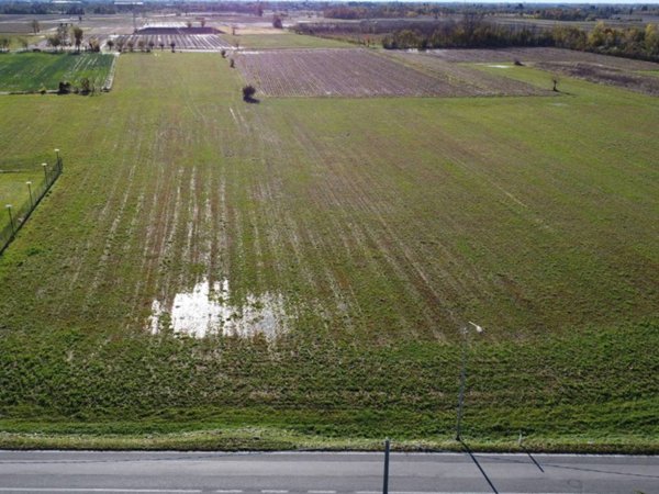terreno agricolo in vendita a Palmanova in zona Ialmicco