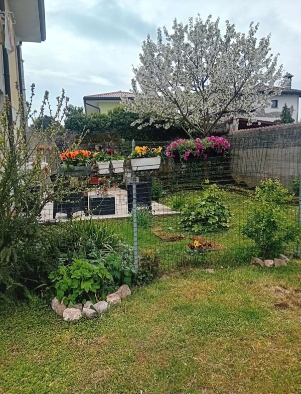 casa semindipendente in vendita a Palmanova in zona Ialmicco