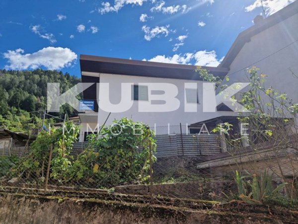 casa indipendente in vendita a Paluzza in zona Rivo