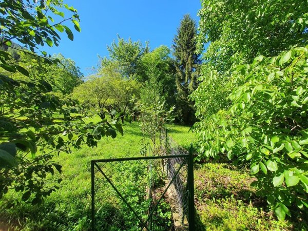 appartamento in vendita a Paluzza in zona Rivo