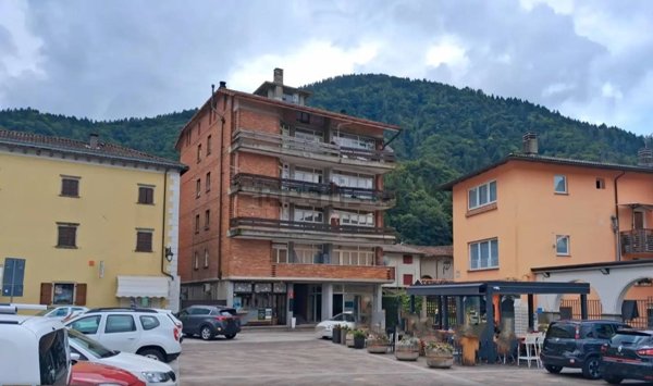 appartamento in vendita a Paluzza