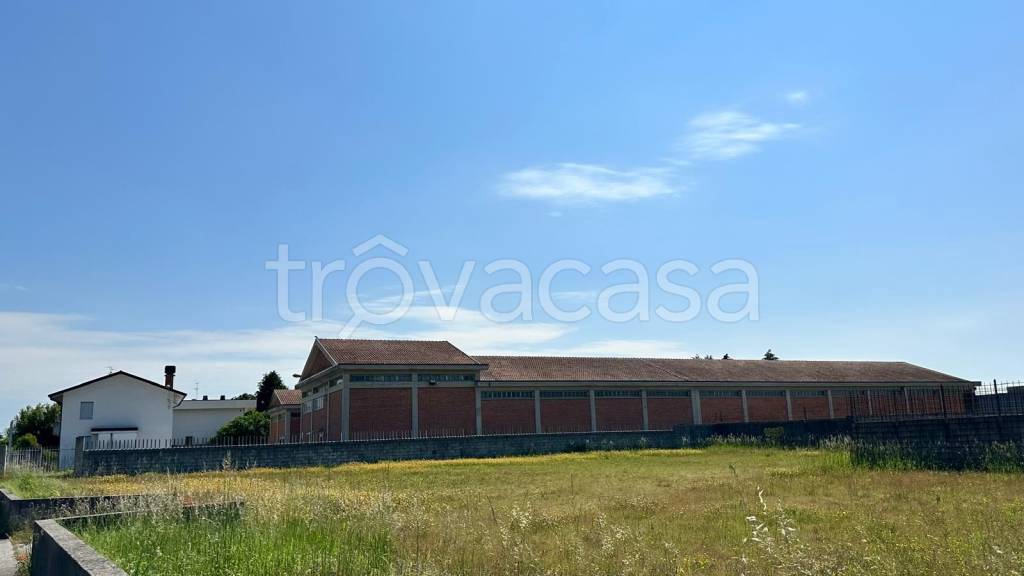 immagine annuncio 0 di 15