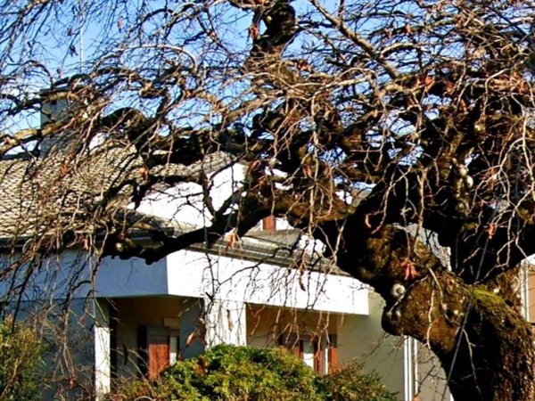 casa indipendente in vendita a Pasian di Prato in zona Passons