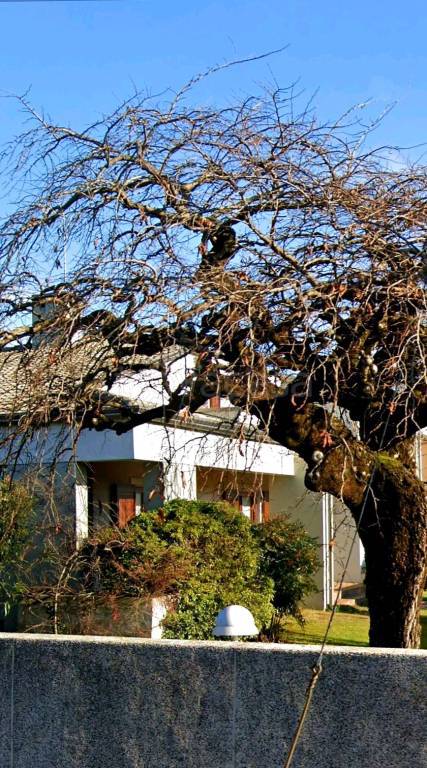 casa indipendente in vendita a Pasian di Prato in zona Passons