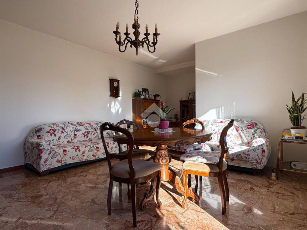 immagine annuncio 0 di 11