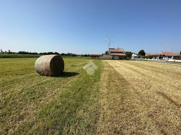 terreno edificabile in vendita a Pavia di Udine in zona Lauzacco
