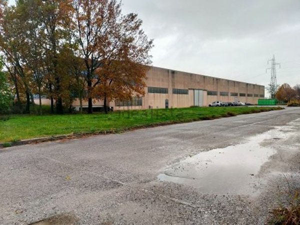 capannone in vendita a Pavia di Udine