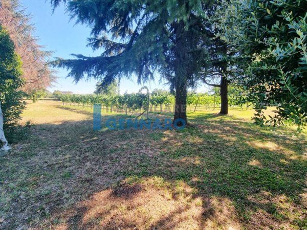 terreno edificabile in vendita a Pavia di Udine in zona Lumignacco