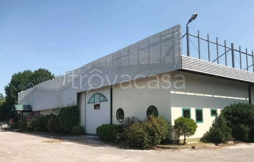capannone in vendita a Pavia di Udine in zona Selvuzzis