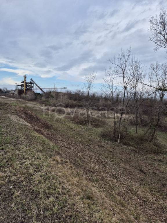 terreno agricolo in vendita a Pavia di Udine in zona Percoto