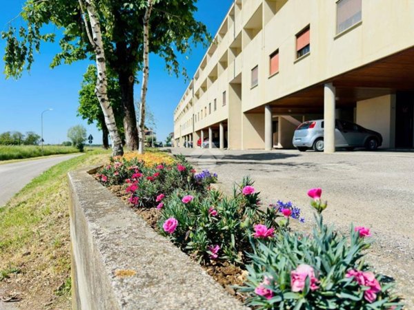 appartamento in vendita a Pavia di Udine in zona Percoto