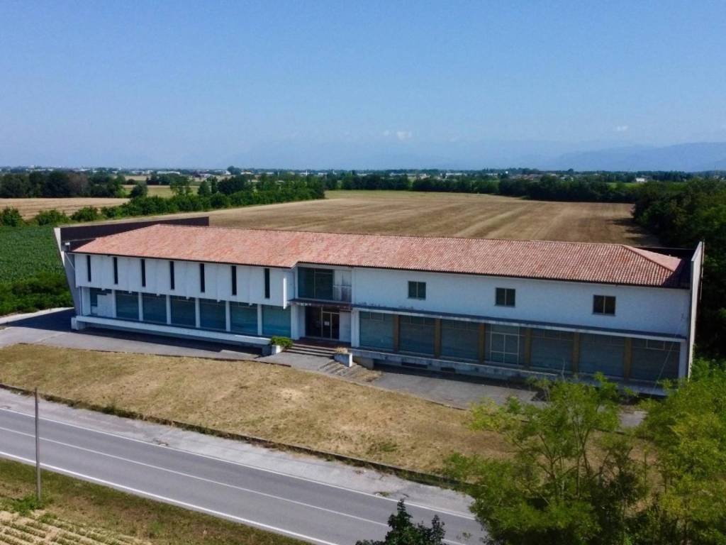 negozio in vendita a Pavia di Udine in zona Lauzacco