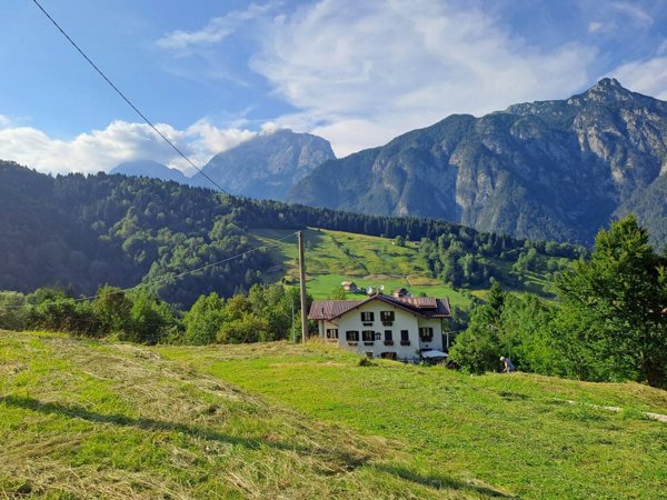 appartamento in vendita a Pontebba