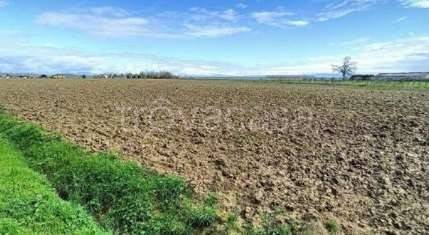 terreno agricolo in vendita a Porpetto